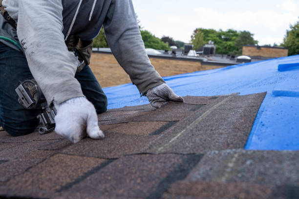 Best Residential Roofing Contractor  in Santa Cruz, CA